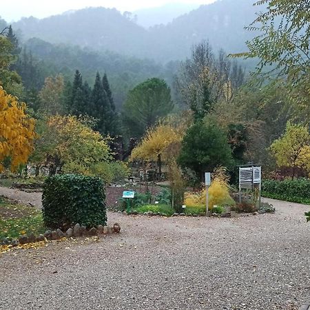 Alojamientos Bellavista Coto Rios Εξωτερικό φωτογραφία