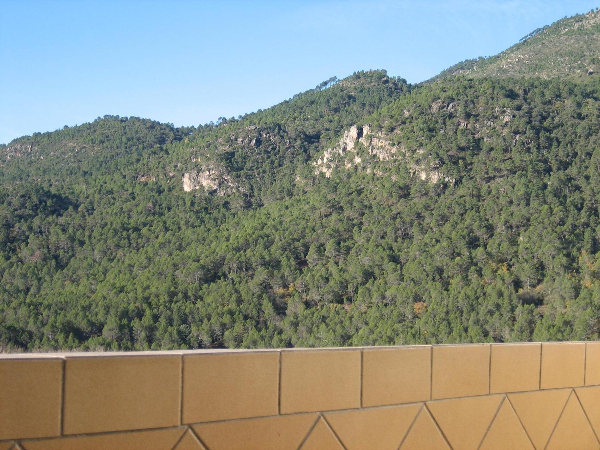 Alojamientos Bellavista Coto Rios Δωμάτιο φωτογραφία