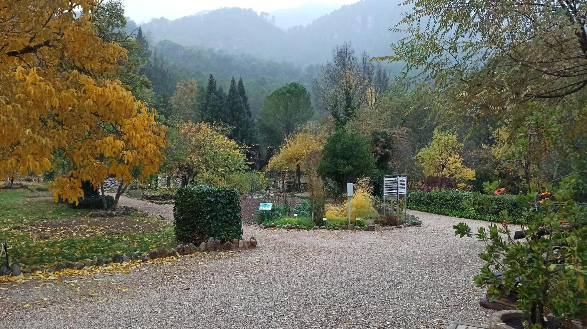 Alojamientos Bellavista Coto Rios Εξωτερικό φωτογραφία