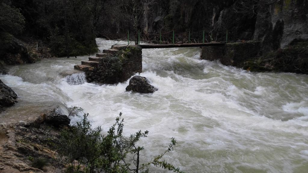 Alojamientos Bellavista Coto Rios Εξωτερικό φωτογραφία