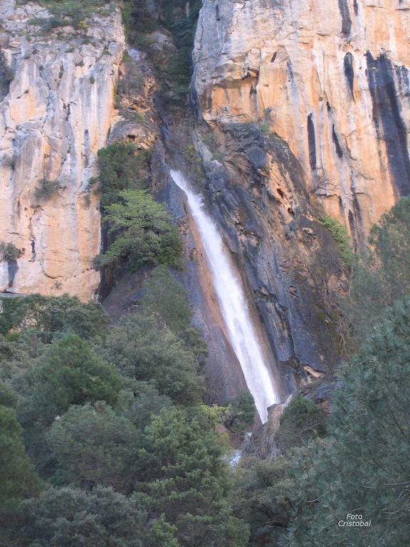 Alojamientos Bellavista Coto Rios Εξωτερικό φωτογραφία
