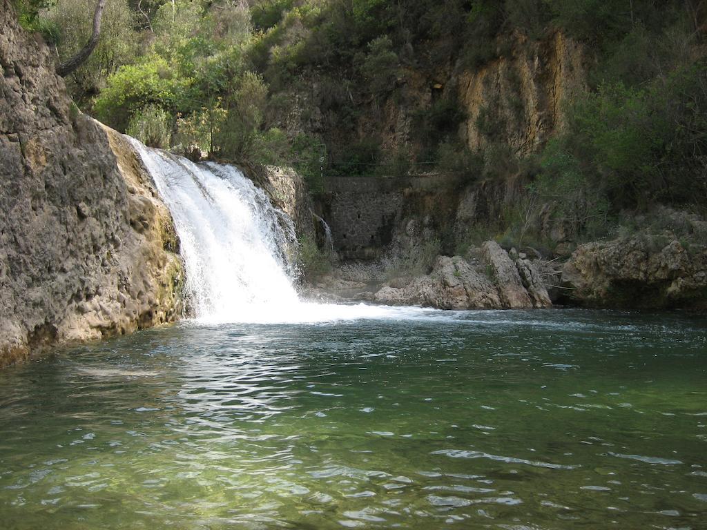 Alojamientos Bellavista Coto Rios Εξωτερικό φωτογραφία